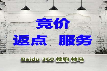 谷歌竞价广告的出价策略及某公司实践案例